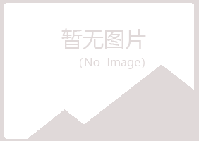 阳山县匆匆咨询有限公司